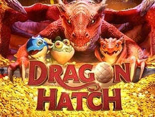 Dragon Hatch game icon